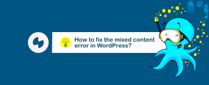 How to fix the mixed content error in WordPress?